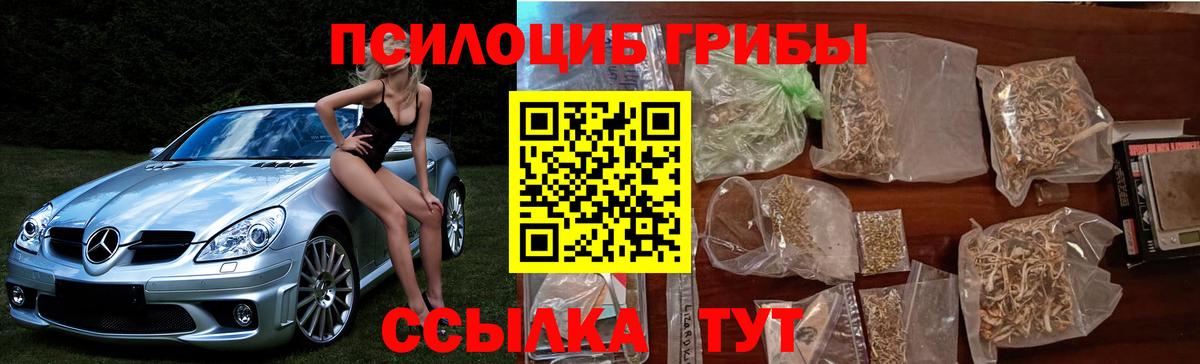 Отрадный  Галлюциногенные грибы MAGIC MUSHROOMS  Галлюциногенные грибы Cubensis  где купить   Вход с VPN 