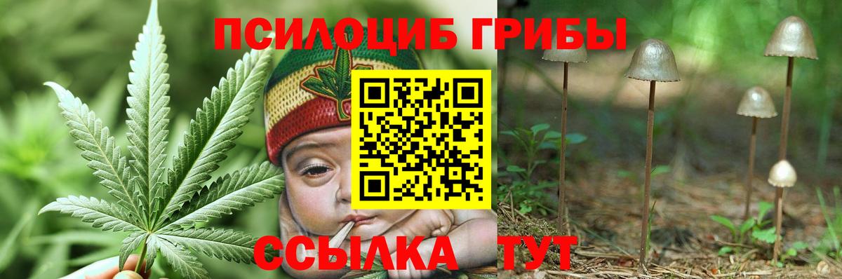 Галлюциногенные грибы Cubensis Отрадный