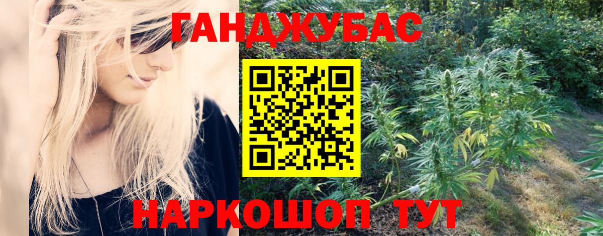 Отрадный  Шишки марихуана план  Шишки марихуана конопля  Вход с VPN  Бошки Шишки марихуана 